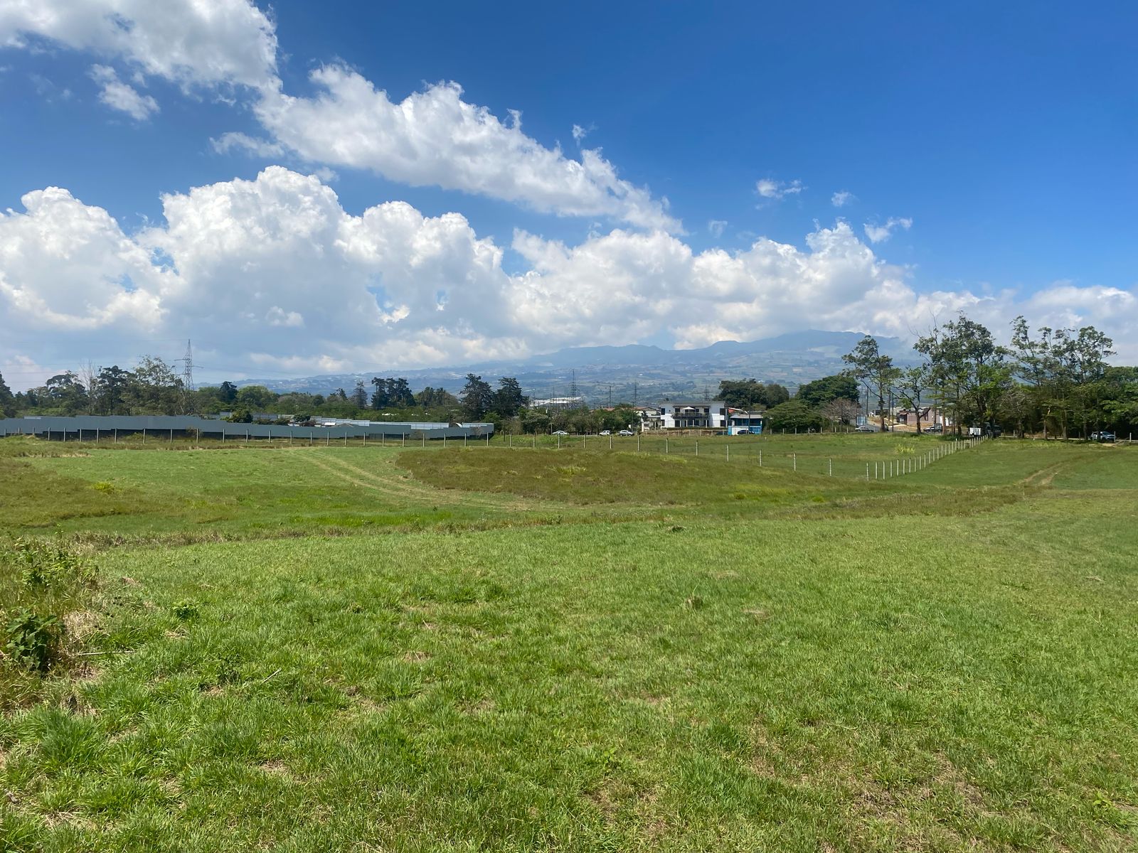 Vegetación Finca Cármenes